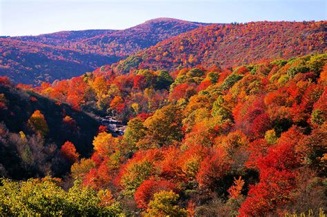 Fall Color Asheville Nc Mountain Travel Tips