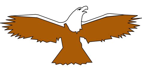 Eagle Bird Spread Wings Png Picpng