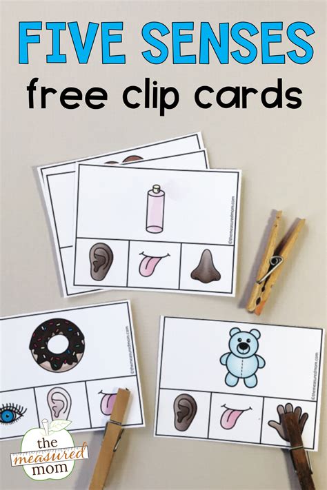 Free Five Senses Clip Cards Five Senses Preschool Senses Preschool