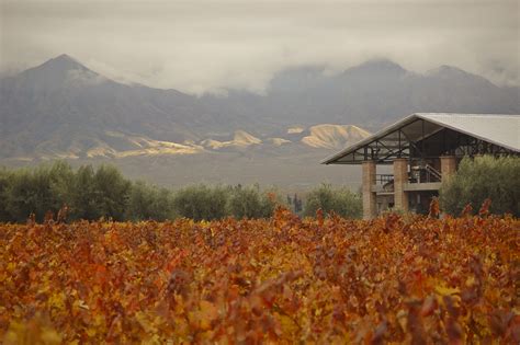 Argentina escalates border security after tip about explosives. Argentina Landscape, Weather & Culture