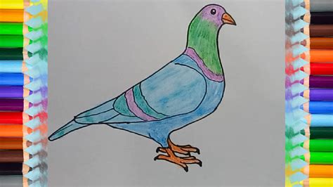 How To Draw A Pigeon Step By Step Easy Bird Drawing Htdraw