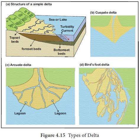 Types Of Delta