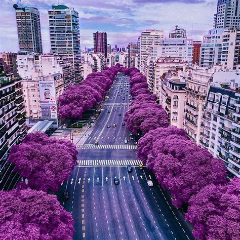 449 Best Argentina Images On Pinterest Beautiful Places