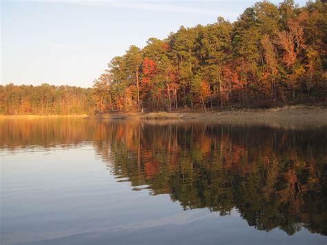 Depths on the lake can reach 300 feet and it is home to stripe bass exceeding 40+ lbs. Lewis Smith Lake, AL | Beautiful lakes, Lake photos ...