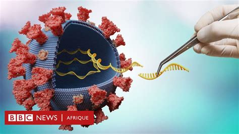 Covid quels sont les variants du virus et les vaccins protègent ils contre eux BBC News Afrique