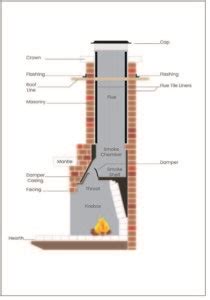Most of the organ lies under cover of the rib cage. Chimney parts and how they work (2020) - ALL PRO CHIMNEY ...