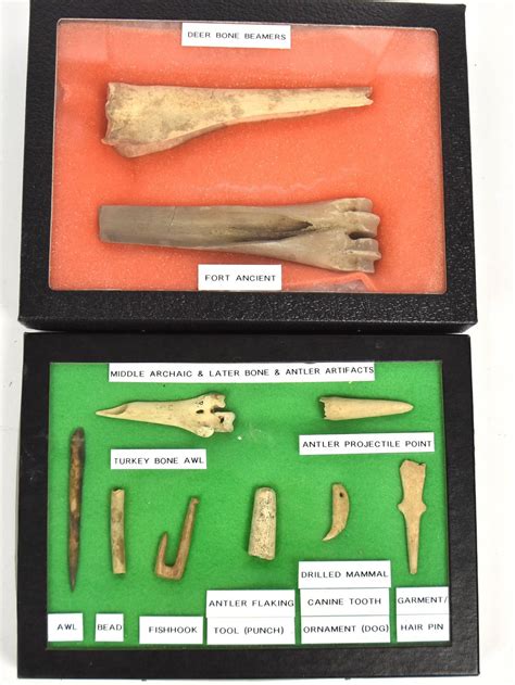 Bone Tools Auction