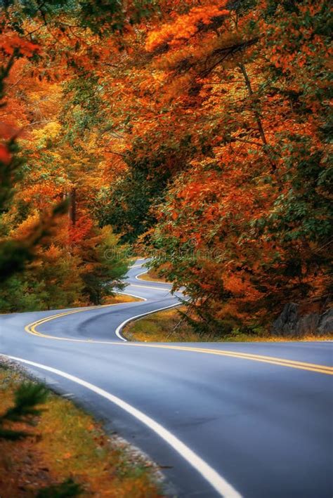 A Winding Narrow Road Amidst Colorful Autumn Forest Usa Maine Autumn