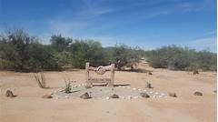 The Treasure Of Pima Parcel Search Uncovering Hidden Gems Of Ownership