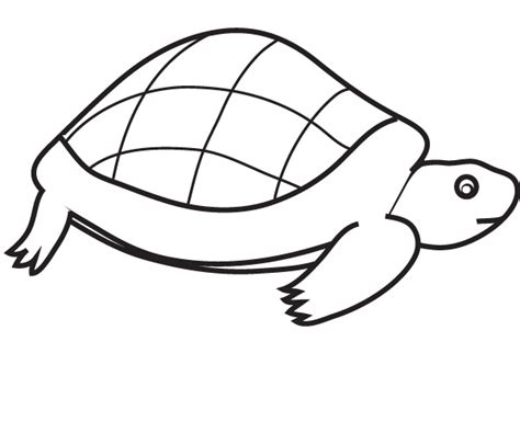 Voir plus d'idées sur le thème dessin de tortue, tortue, dessin. Coloriage tortue