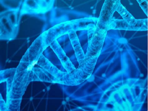 The biology staar/eoc test is given to all biology students during the first full week in may. CBSE Class 12 Biology Marking Scheme 2021 (PDF): With ...