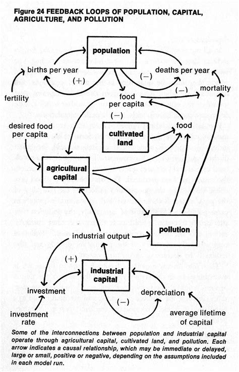 Causal Loop Diagram System Dynamics Tabitomo