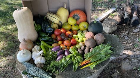 Oasis Acres Farm - Home