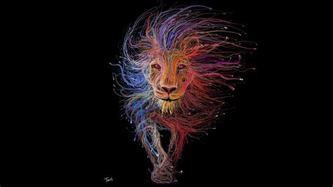 4k ultra hd 8k ultra hd. lion wallpapers, photos and desktop backgrounds up to 8K ...