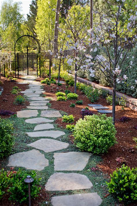 Plants For Stepping Stone Paths Terra Ferma Landscapes