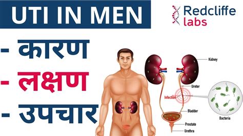 Uti Urine Infection In Male In Hindi Urinary Tract Infection Signs And Symptoms In Male