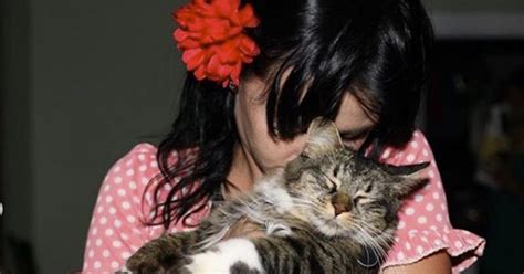Katy Perry Devastated By The Death Of Her Beloved Cat Kitty Purry