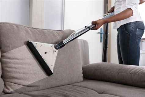 Contact a professional upholstery cleaner for stubborn stains. Pet Odour Removal: Easiest Ways to Get Rid of Pet Odour