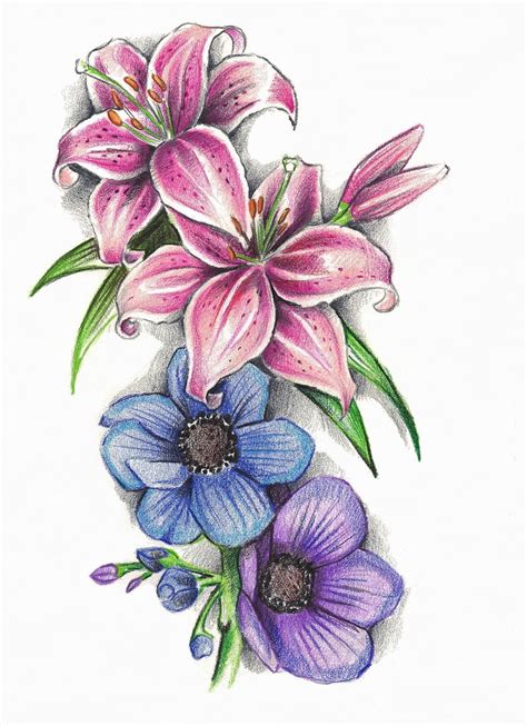 Stargazer Lilies Drawing At Getdrawings Free Download