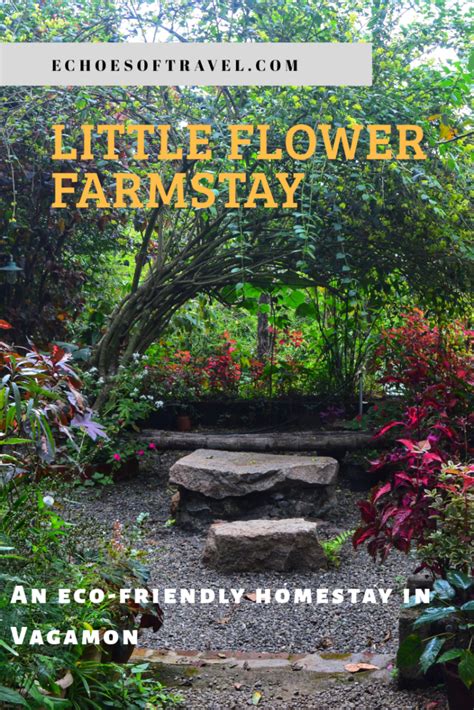 Little Flower Farmstay Vagamon Farm Stay Spice Garden Natural Pool