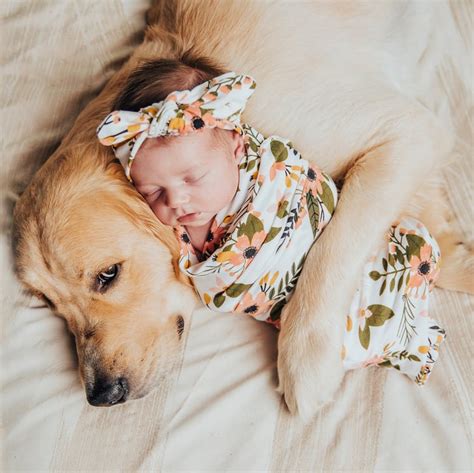 Cute Pictures Of Dogs Napping With Kids And Babies Popsugar Uk