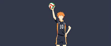 Hd Wallpaper Anime Haikyu Feather Haikyū Karasuno High Shōyō