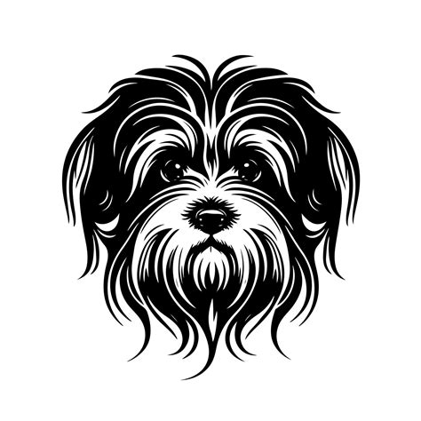Adorable Havanese Dog Headshot. Black and White Vector Illustration for