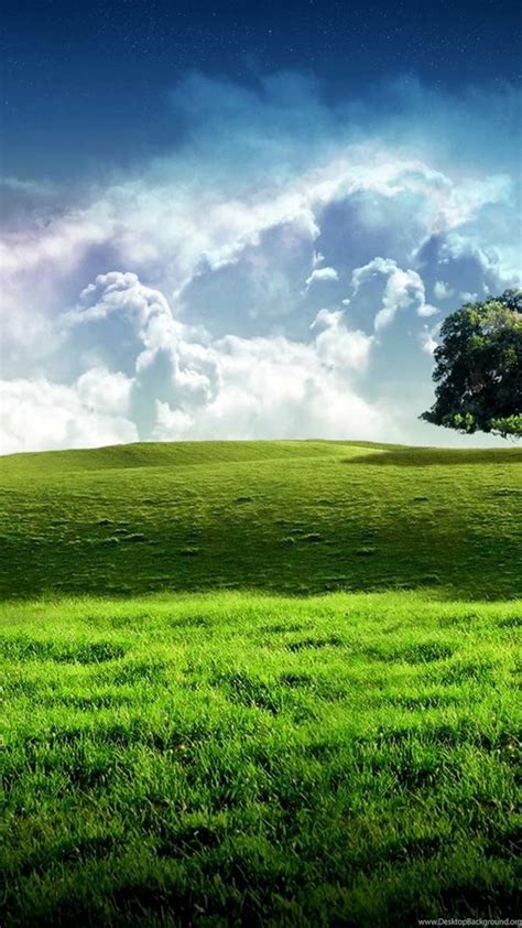 New Bliss Tree Green Landscape Scenery Wallpapers Free Images At