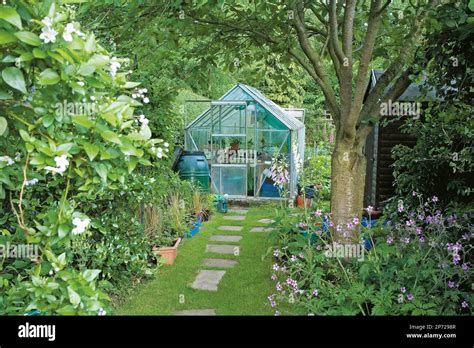 Greenhouse In Cottage Garden Stock Photo Alamy