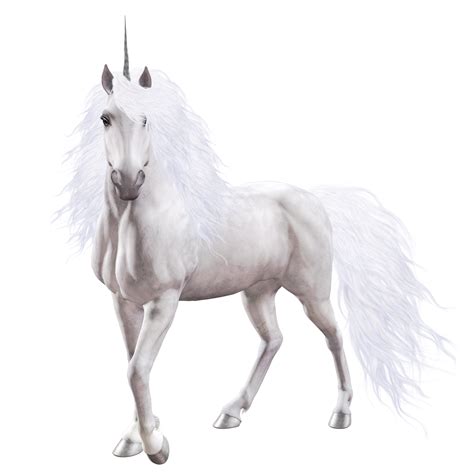 Unicorn Png Transparent Image Download Size 1750x1750px