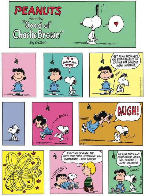 Peanuts Comic Strip About Charlie Brown