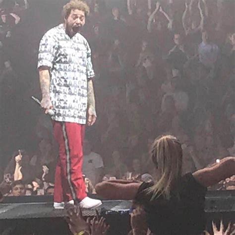 Post Malone Meme Template Hot Sex Picture