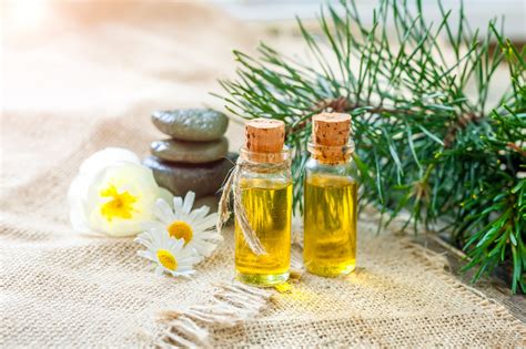 Essential Oils Guide 7 Facts You Never Knew About Essential Oils