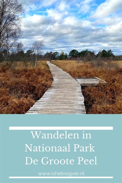 Dutch national park zuid kennemerland the ultimate guide – Artofit