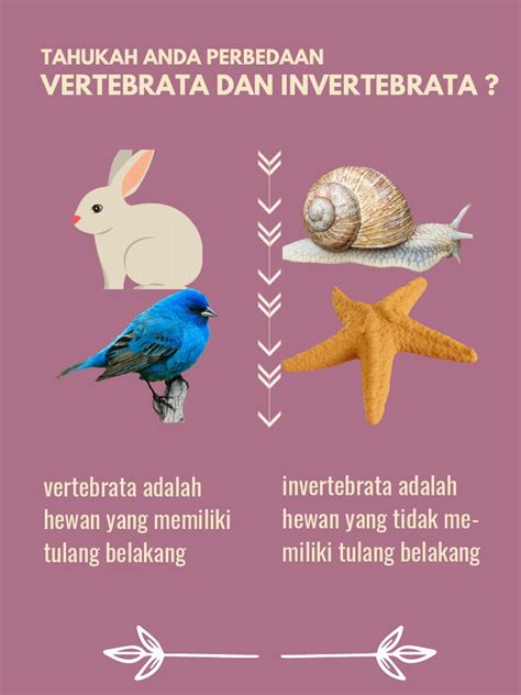 Perbedaan Vertebrata Dan Invertebrata Pdf