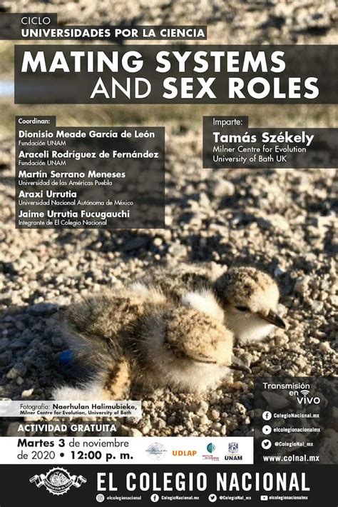 Mating Systems And Sex Roles Actividad El Colegio Nacional