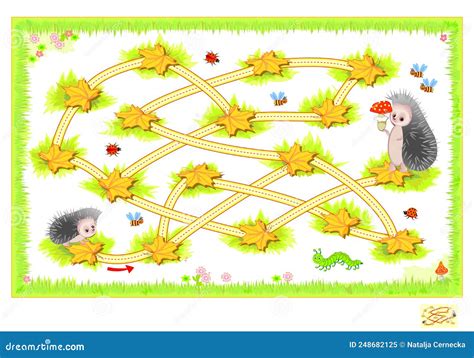 Best Labyrinths Help The Hedgehog Find The Way To His Friend Logic