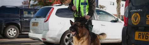 Guard Dog Security Patrols