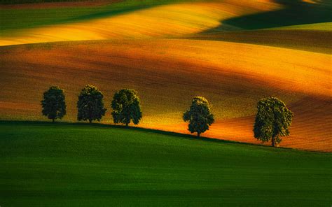 These Breathtaking Photos of Moravian Fields Look Like Paintings - The Shutterstock Blog