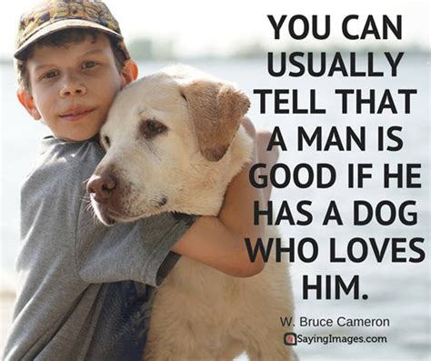 50 Dog Quotes For People Who Love Dogs