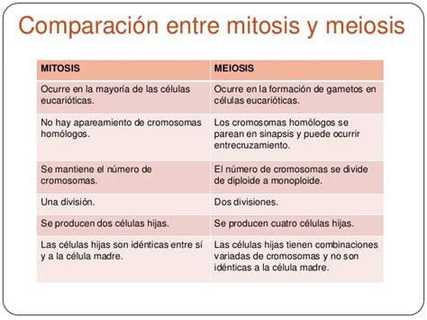 Cuadros Comparativos Entre Mitosis Y Meiosis Cuadro Comparativo Images