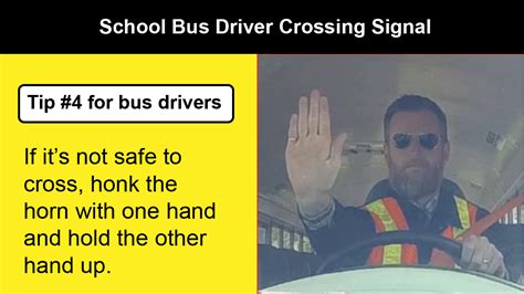 Il Segnale Raffigurato Permette La Sosta Degli Autobus - Student Transportation Services of Thunder Bay :: How to Cross Safely