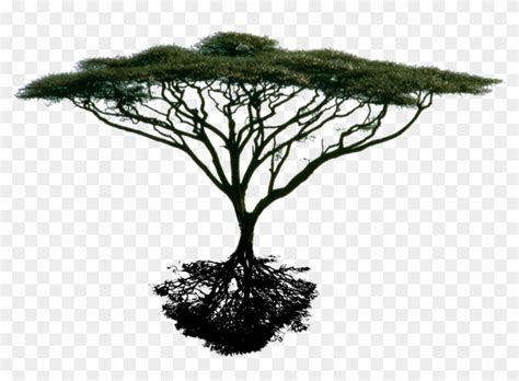 Photo Trimmedtreefinal2 Acacia Tree Silhouette Png Transparent Png