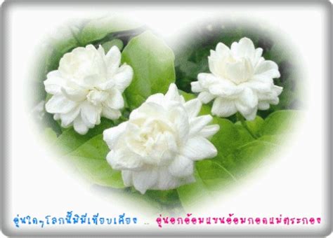 รวมรายการวันหยุด ปฏิทินเดือน กันยายน 2564 วันสำคัญ. Kunlaya_zeeza: สิงหาคม 2012
