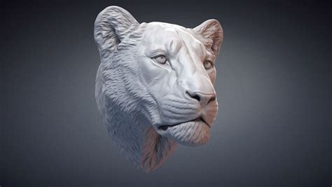 3d Lioness Sculpture Animal Head Turbosquid 1723122