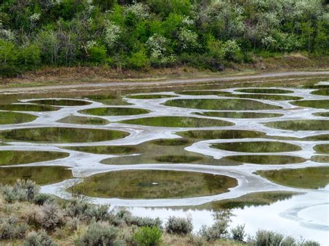 A Los OrÍgenes Lago Kliluk O Spotted Lake Canadá