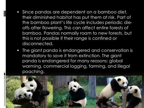 Endangered Species Powerpoint Blog