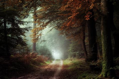 Dark Autumn Days Photograph By Inge Bovens Fine Art America