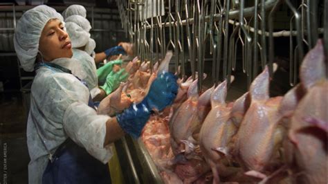 Immigrant Meatpackers Fight Back Against Intimidation And Death Traps