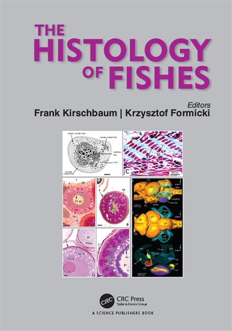 The Histology Of Fishes Taylor And Francis Group